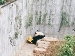-南宁市动物园