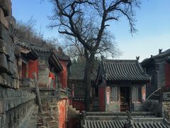 -店头古堡