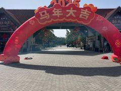 -上海海湾国家森林公园