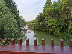 -昆山城市生态森林公园