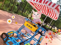 -日照海滨国家森林公园