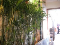 大堂-院落创意菜