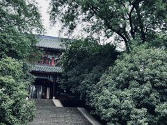 -灵谷景区