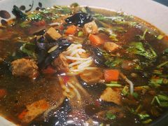 -兰陵国家农业公园