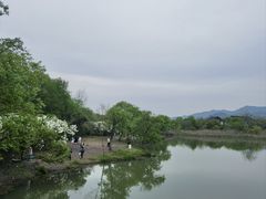 -西溪国家湿地公园