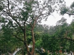 -海南文笔峰盘古文化旅游区