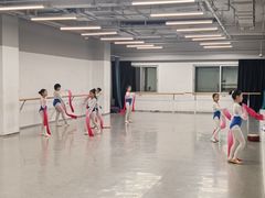 -舞蕾舞蹈(特长生校区)