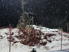 -长春莲花山滑雪场