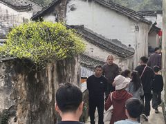 -石台牯牛降景区
