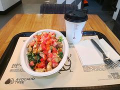-油梨树 AVOCADO TREE(亮马桥店)