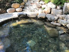 -天目湖涵田半山温泉