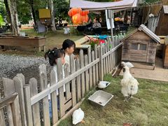 -HERRE·FARM 赫尔露营农场·团建聚会包场