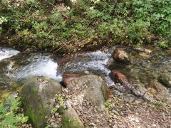 -玉渡山自然风景区
