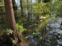 -东湖落雁景区