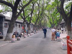 -北京国子监胡同