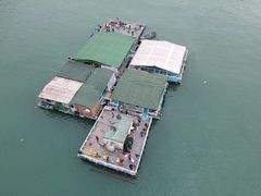 -深圳海钓·深圳钓鱼·拓展聚会鱼排