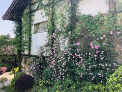 -茅山东方盐湖城景区