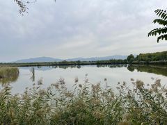 -野鸭湖国家湿地公园