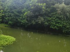 -同里国家湿地公园
