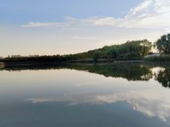 -大兴滨河森林公园