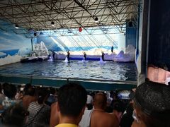 -秦皇岛乐岛海洋王国