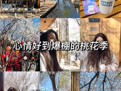 -春风习习