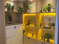 -泰禾馨·泰式按摩精油SPA(华荣大厦店)