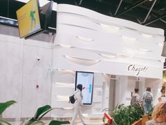 -谢列梅捷沃国际机场