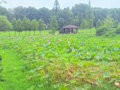-宜兴龙背山森林公园