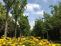 -苏州河梦清园环保主题公园