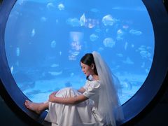 -烟台海昌鲸鲨海洋公园