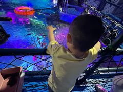 -沈阳海洋探索中心