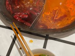 -朱光玉火锅馆(正弘城店)