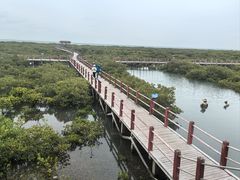 -北海金海湾红树林生态旅游区