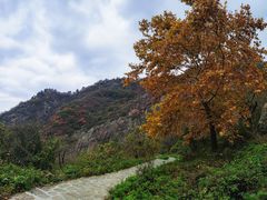 -秦岭终南山世界地质公园翠华山景区