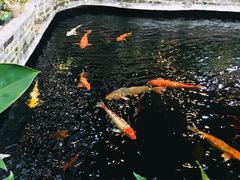 -新灿记大酒楼