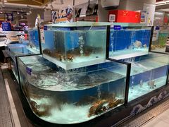水产区-盒马鲜生(和谐广场店)