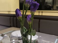 -宫燕府·京菜·烤鸭·淮扬菜(王府中心店)