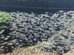 -乌鲁木齐海洋馆