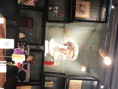 -798餐厅(任丘路店)