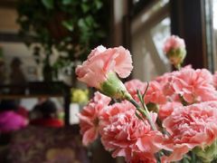 -春暖花开(西溪店)