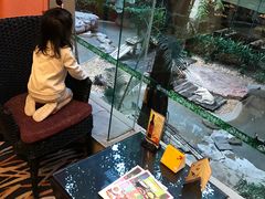 -麒麟中餐厅·经典粤菜·地道菜式老字号(广州长隆酒店)