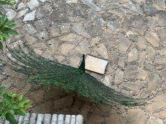 -苏州环秀晓筑养生度假村