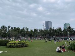 -万绿园
