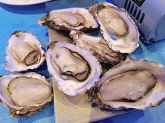 -千岛蚝高压锅生蚝·人参火锅(白云万达店)