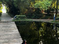 -燕晗山郊野公园