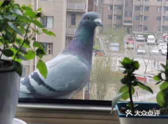 各种配合我拍照,一点儿也不怕人