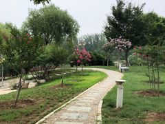 -燕郊植物园
