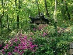招隐-南山风景名胜区