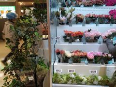 -盒马鲜生(丁香国际店)